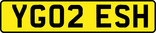 YG02ESH