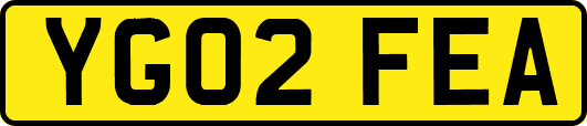 YG02FEA