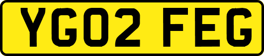YG02FEG