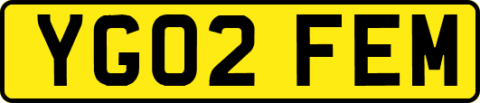 YG02FEM
