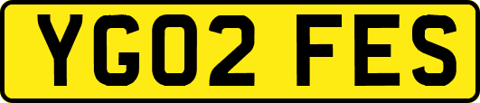 YG02FES