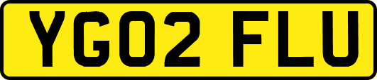 YG02FLU