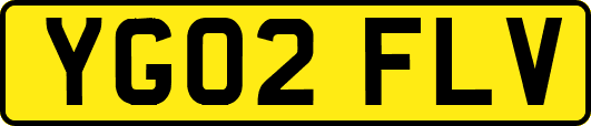 YG02FLV