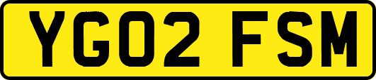 YG02FSM