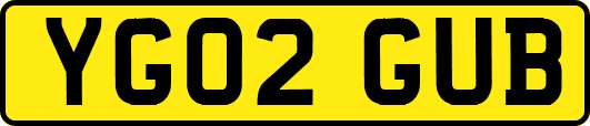 YG02GUB