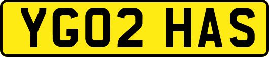 YG02HAS