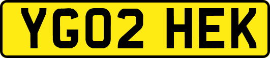 YG02HEK