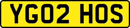 YG02HOS
