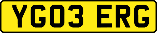 YG03ERG