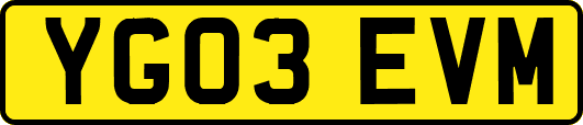 YG03EVM