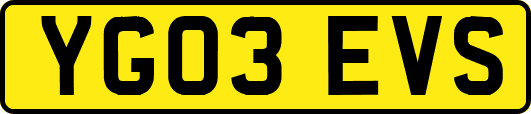 YG03EVS
