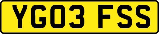 YG03FSS