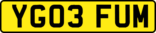 YG03FUM