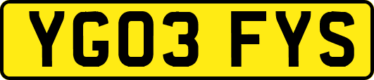 YG03FYS