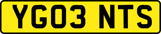 YG03NTS