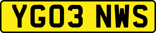 YG03NWS