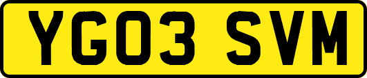 YG03SVM