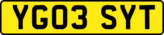 YG03SYT