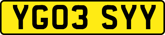 YG03SYY