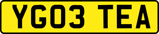 YG03TEA