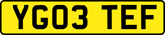 YG03TEF