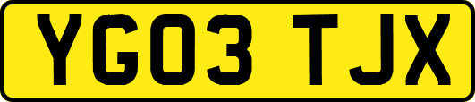 YG03TJX