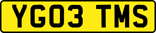 YG03TMS