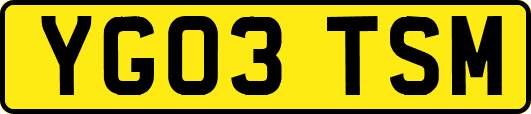 YG03TSM