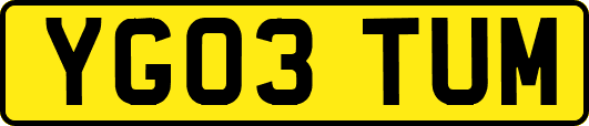 YG03TUM