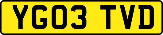 YG03TVD