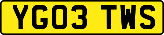YG03TWS