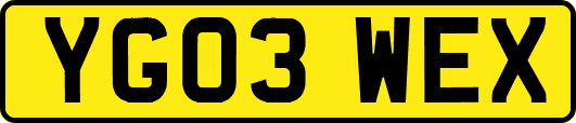 YG03WEX