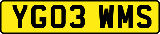 YG03WMS