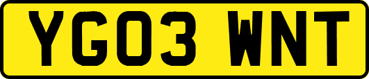 YG03WNT