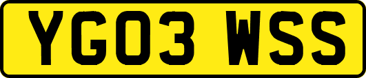 YG03WSS