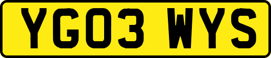 YG03WYS
