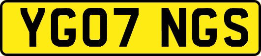 YG07NGS