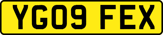 YG09FEX