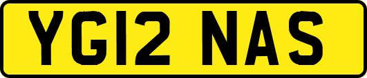 YG12NAS