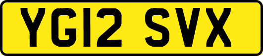 YG12SVX