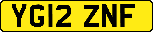 YG12ZNF