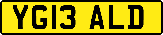 YG13ALD