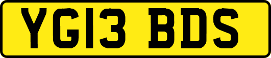 YG13BDS