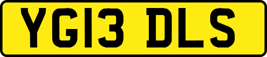 YG13DLS