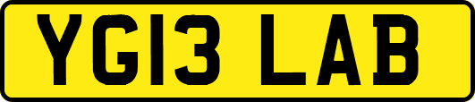 YG13LAB