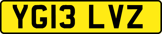 YG13LVZ