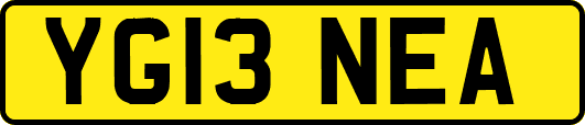 YG13NEA
