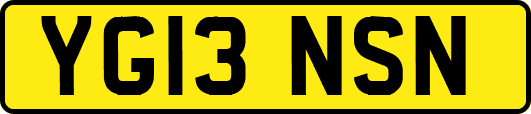 YG13NSN