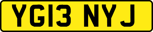 YG13NYJ