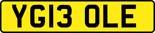 YG13OLE